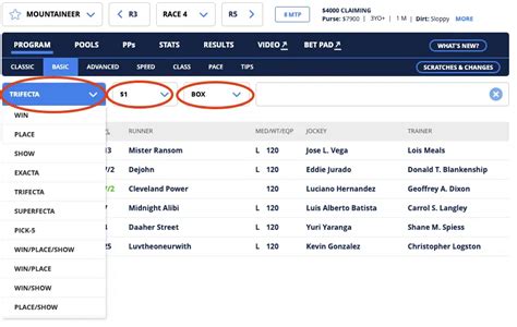 how does sportsbet work